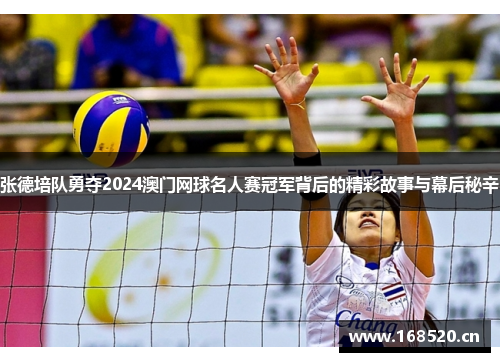 张德培队勇夺2024澳门网球名人赛冠军背后的精彩故事与幕后秘辛